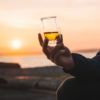 NORLAN Whisky Glass (Clear Single with Microfiber Polishing Cloth) - Image 3